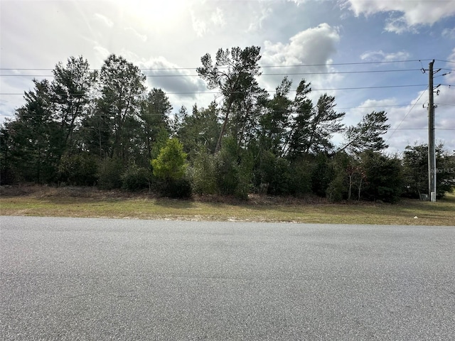 0 SW 110th St, Ocala FL, 34476 land for sale