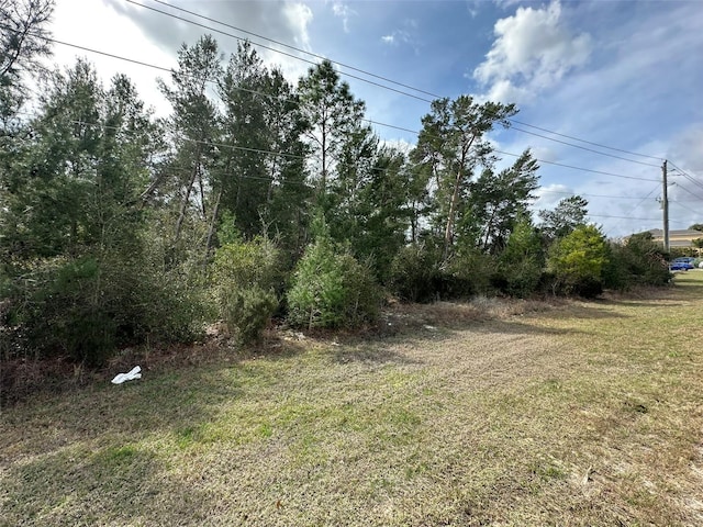 Listing photo 2 for 0 SW 110th St, Ocala FL 34476