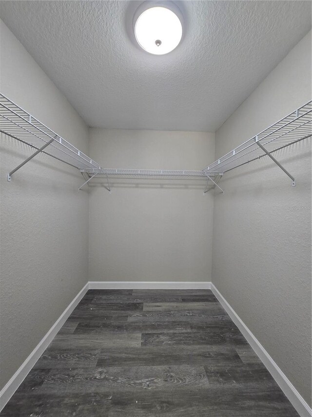 spacious closet with wood finished floors