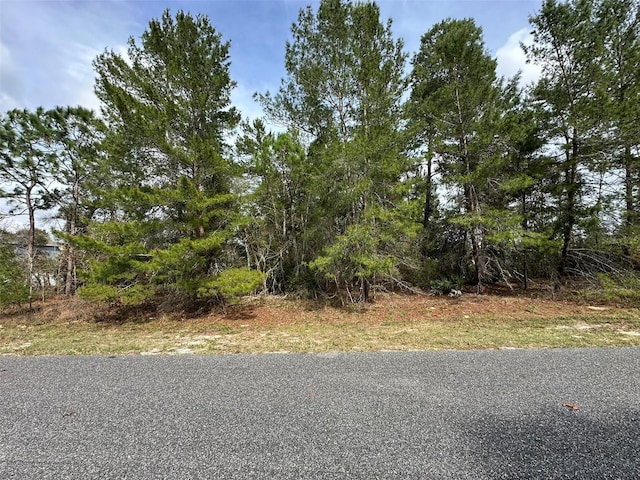 0 SW 110th Ln, Ocala FL, 34476 land for sale