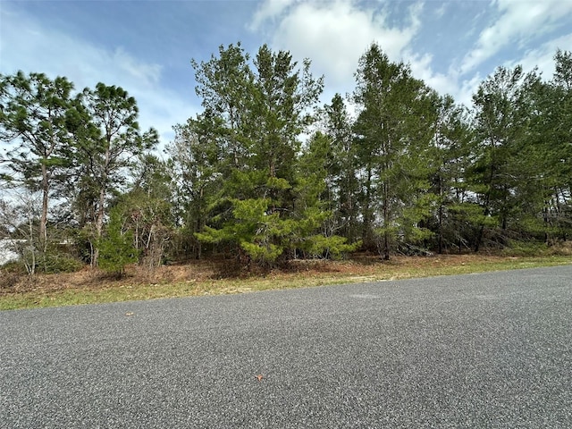 Listing photo 3 for 0 SW 110th Ln, Ocala FL 34476