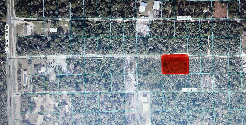 TBD NE 235th Street Rd # 12, Fort Mc Coy, FL 32134 - photo 1