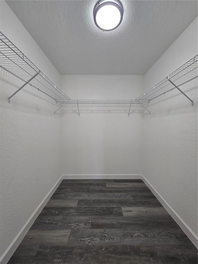 spacious closet featuring dark wood finished floors