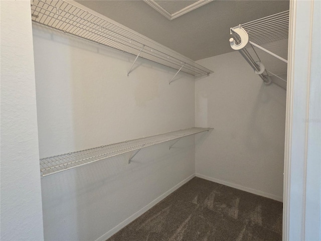 spacious closet featuring dark colored carpet