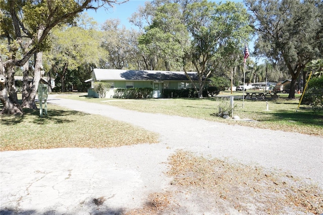 view of road with driveway