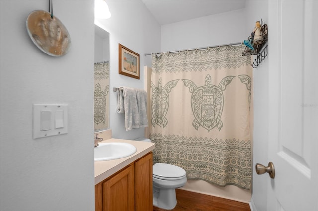 bathroom with toilet, vanity, and wood finished floors