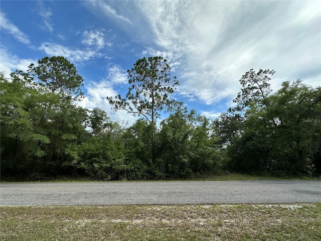 TBD NE 220th St, Fort Mc Coy FL, 32134 land for sale