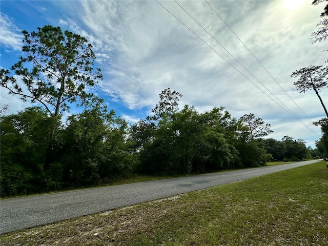 Listing photo 2 for TBD NE 220th St, Fort Mc Coy FL 32134