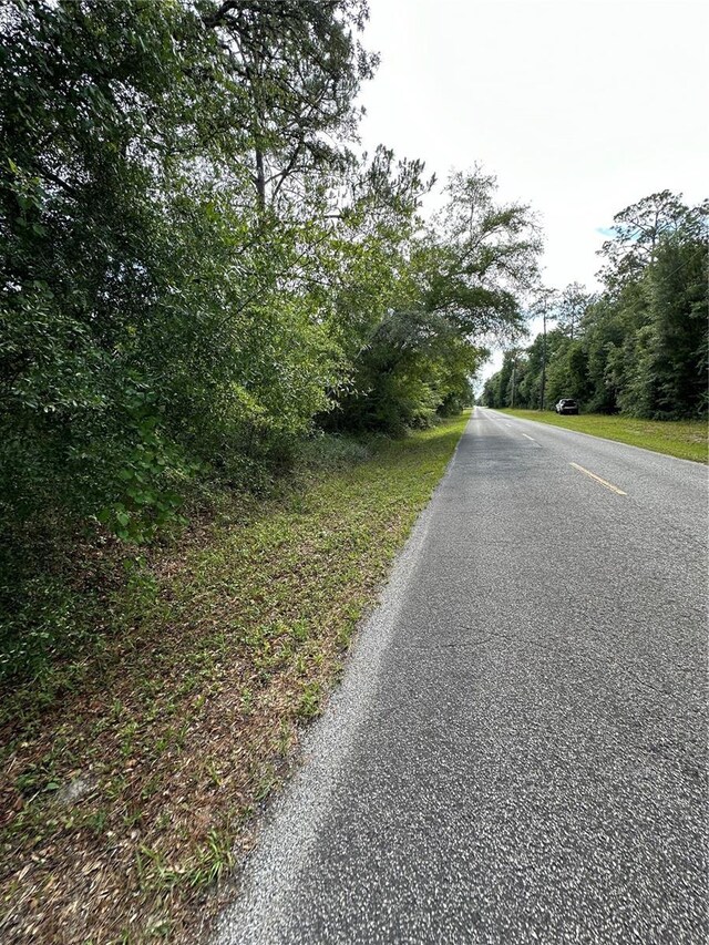 TBD NE 220th St, Fort Mc Coy, FL 32134 - photo 4