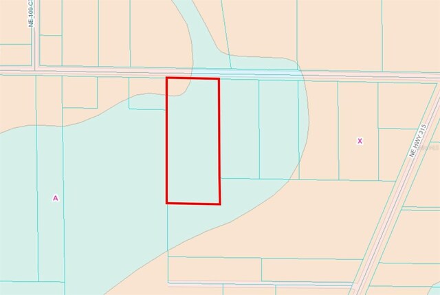 TBD NE 220th St, Fort Mc Coy, FL 32134 - photo 5
