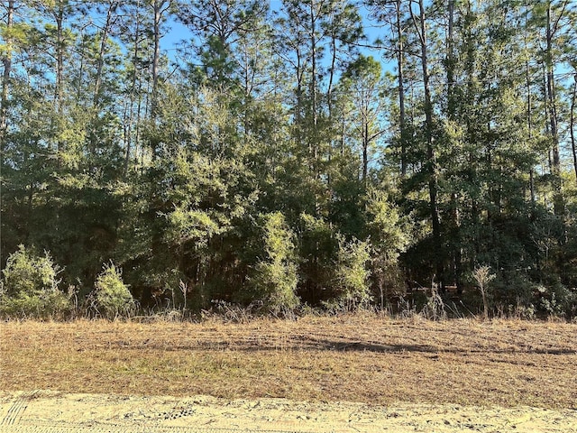 0 SW 52nd Ln, Ocala FL, 34481 land for sale