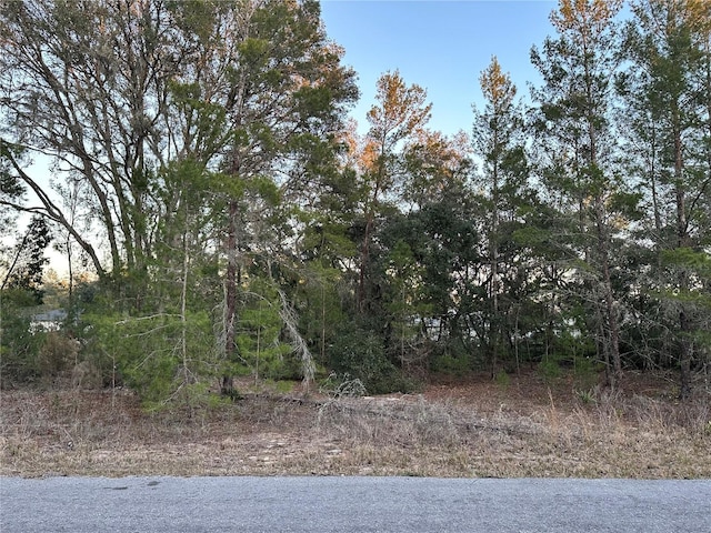 Listing photo 2 for 0 Malauka Pass Crse, Ocklawaha FL 32179