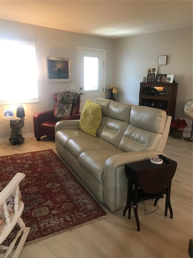 living room featuring light wood-style floors