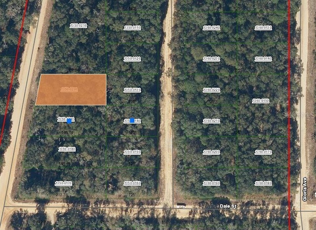 00 Walker Dr, Interlachen FL, 32148 land for sale