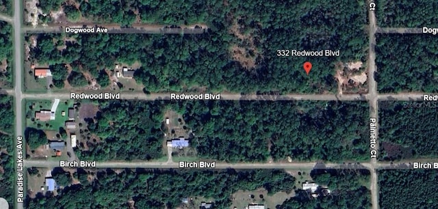 332 Redwood Blvd, Georgetown FL, 32139 land for sale