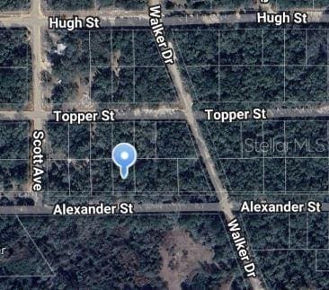 00 Alexander St, Interlachen FL, 32148 land for sale