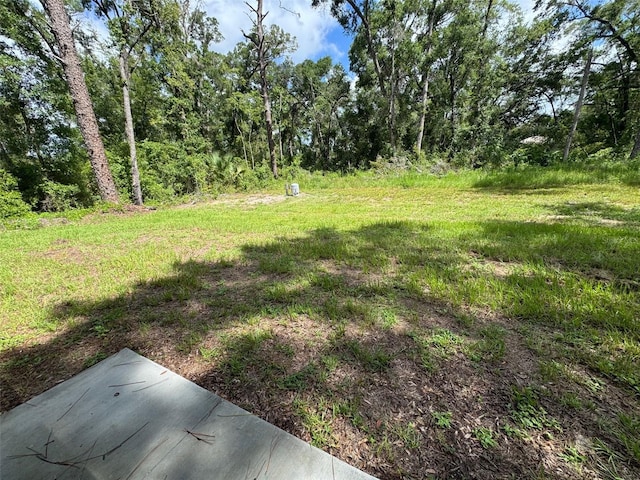 17563 SW 113th Pl, Dunnellon, FL 34432 - photo 5