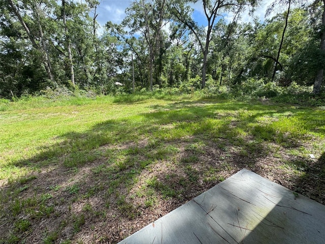 17563 SW 113th Pl, Dunnellon, FL 34432 - photo 6