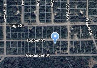 00 Topper St, Interlachen FL, 32148 land for sale