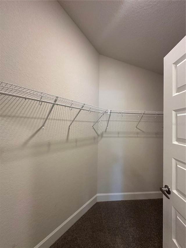 walk in closet with dark carpet