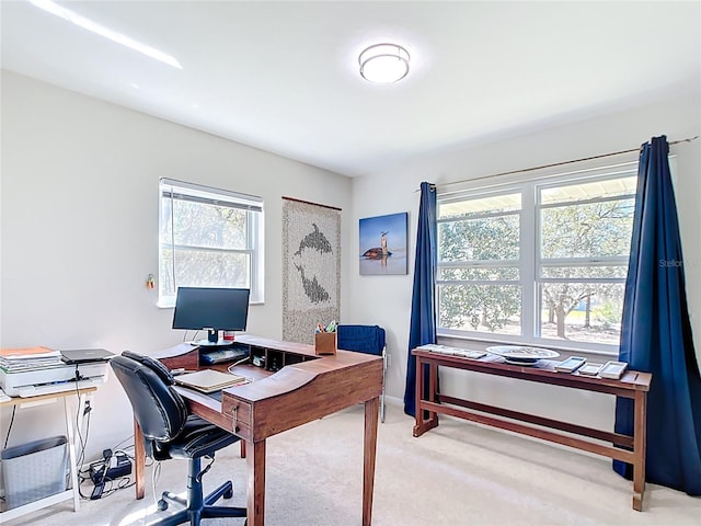 office featuring light colored carpet