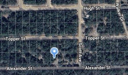 Alexander St, Interlachen FL, 32148 land for sale