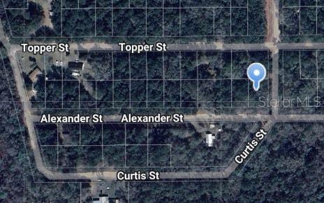 Alexander St, Interlachen FL, 32148 land for sale