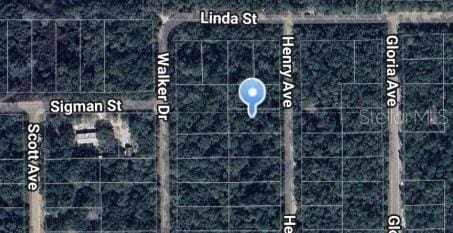 Henry Ave, Interlachen FL, 32148 land for sale