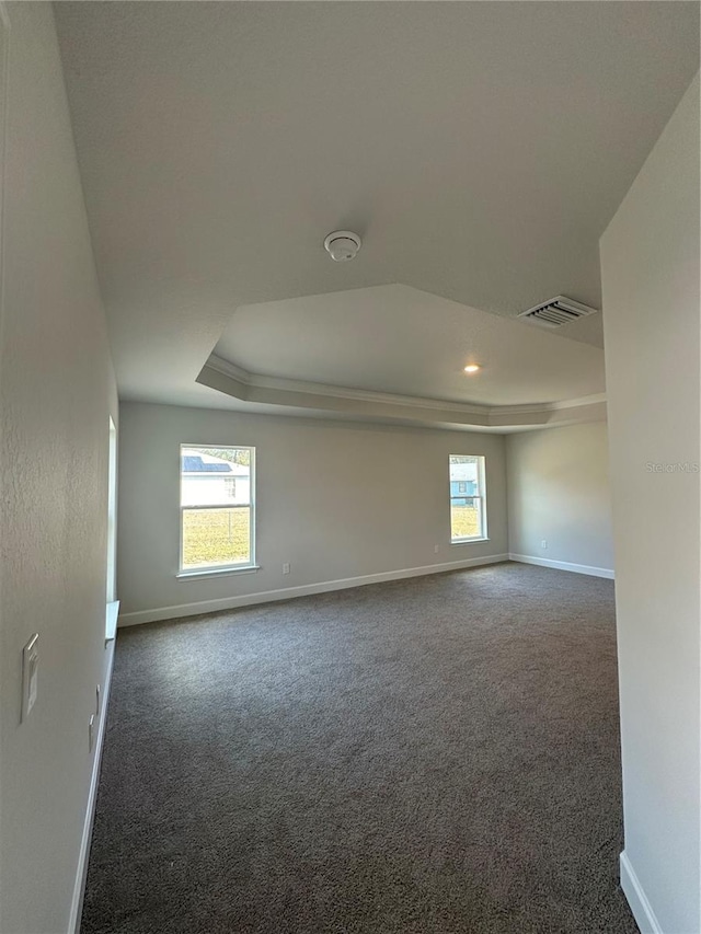 carpeted spare room featuring a wealth of natural light, visible vents, a raised ceiling, and baseboards