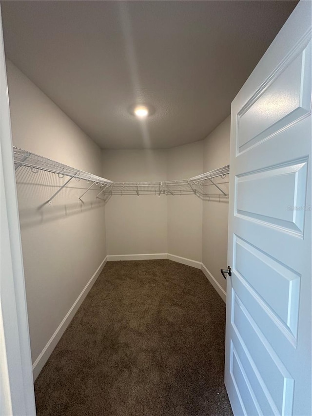 walk in closet featuring dark colored carpet