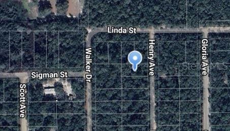 Henry Ave, Interlachen FL, 32148 land for sale