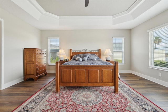 bedroom featuring multiple windows and a raised ceiling