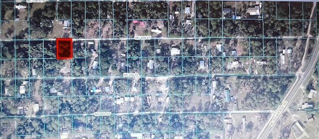 TBD NE 204th St, Fort Mc Coy FL, 32134 land for sale