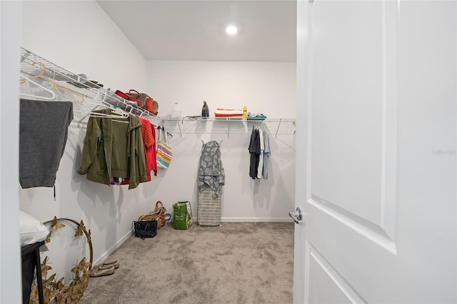 walk in closet with carpet floors