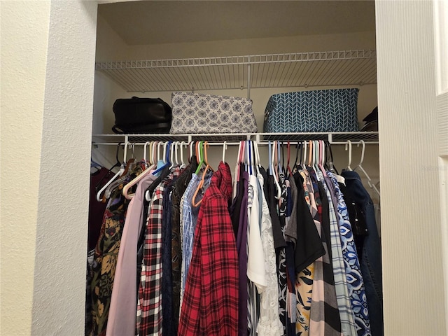 view of closet