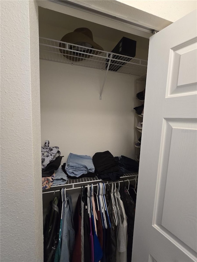 view of closet