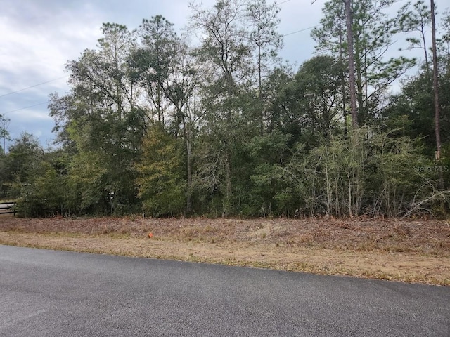 SW Hunter Hill Ave, Dunnellon FL, 34431 land for sale