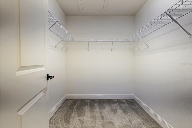 7014 Elaine Ct, The Villages, FL 34762 - spacious closet featuring carpet