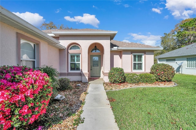 entrance to property featuring stucco siding and a yard