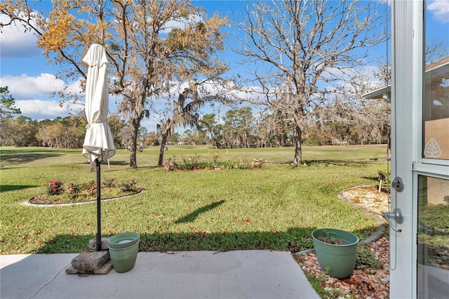 view of yard with a patio