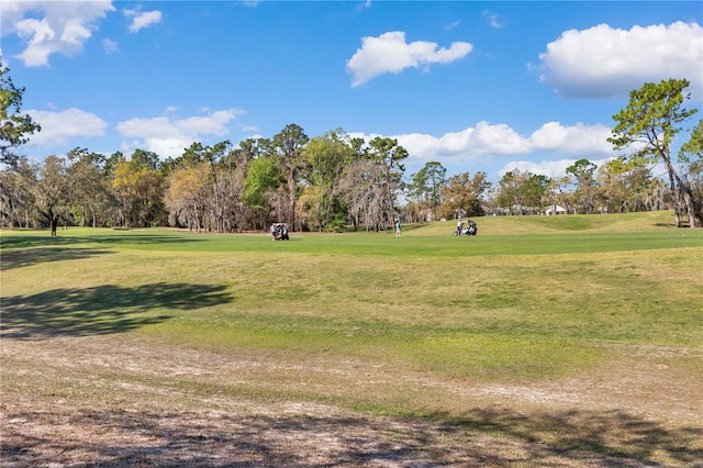 view of property's community featuring a lawn