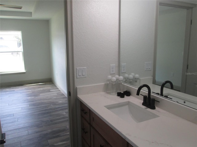 bathroom with wood finished floors and vanity