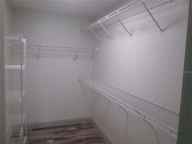 walk in closet featuring dark wood finished floors