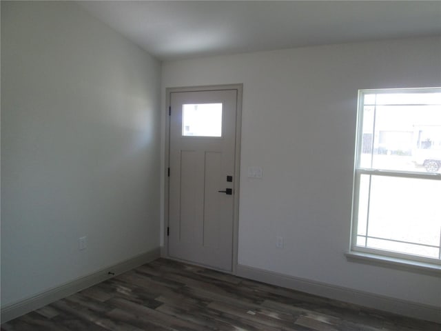 foyer entrance featuring dark wood-style flooring, baseboards, and a wealth of natural light