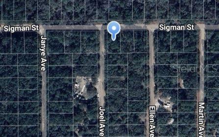 Joel Ave, Interlachen FL, 32148 land for sale