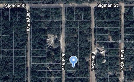 Joel Ave, Interlachen FL, 32148 land for sale