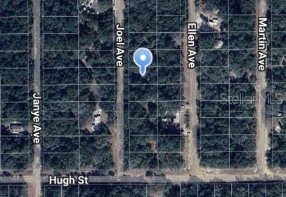 Joel Ave, Interlachen FL, 32148 land for sale