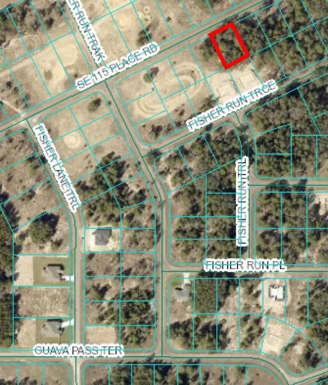 Listing photo 3 for 0 Fisher Ln, Ocklawaha FL 32179