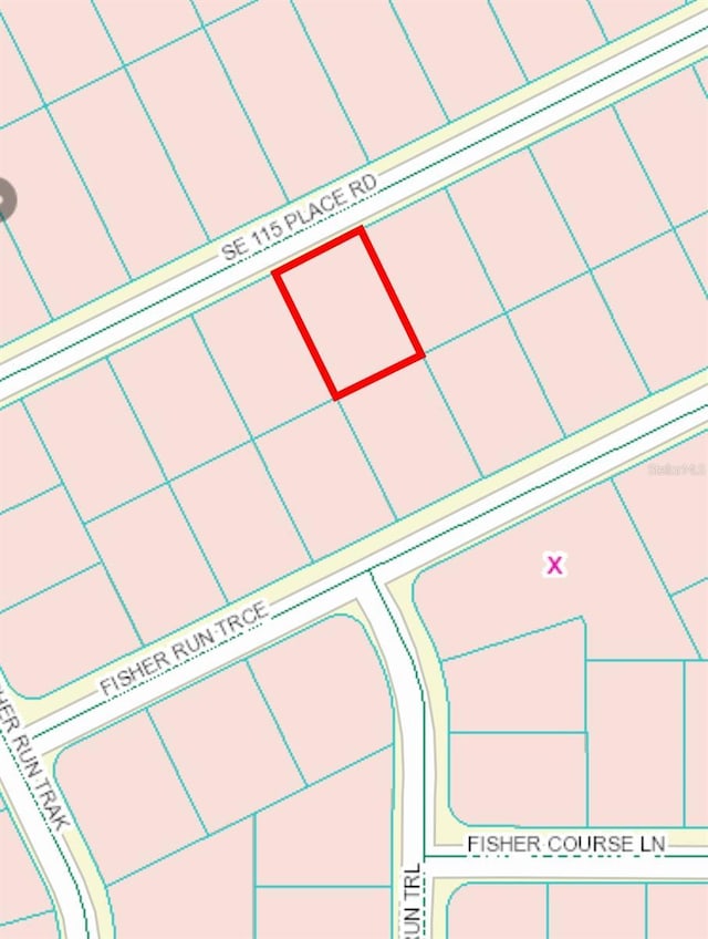 0 115th Place Rd Unit 7, Ocklawaha, FL 32179 - photo 4