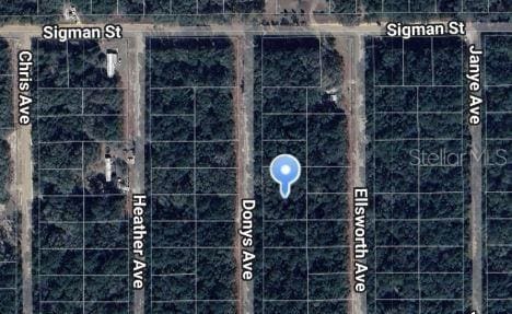 Donys Ave, Interlachen FL, 32148 land for sale